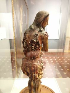 a wooden statue is on display in a glass case