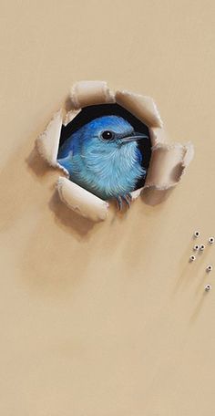 a blue bird looking through a hole in the wall