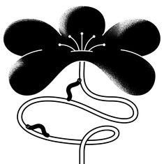 a black and white drawing of a flower with a long cord attached to the petals