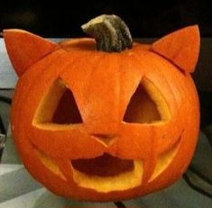 a pumpkin that has been carved to look like a cat