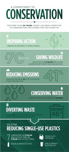 an info sheet describing the different types of water and how it is used for conservation