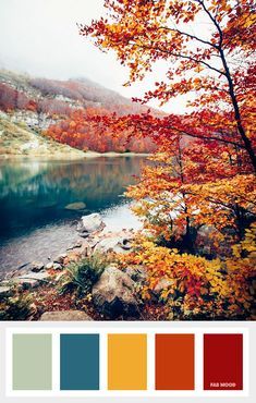 an autumn scene with trees, rocks and water