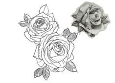 a drawing of two roses with leaves on the side and one flower in the middle