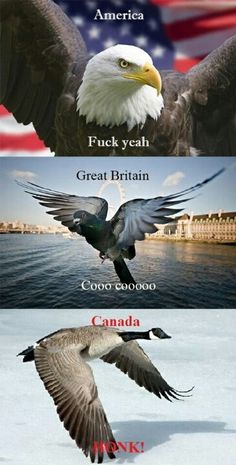 an eagle flying in the air with words above it that read america, f - yeah great britain, canada