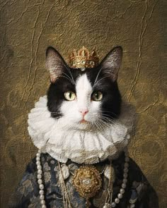 a black and white cat wearing a tiara with pearls on it's head