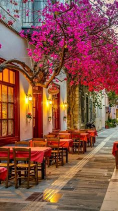 people are sitting at tables in an alleyway with pink flowers on the trees above them