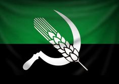 the flag of pakistan with an image of a fork and wheat on it's side