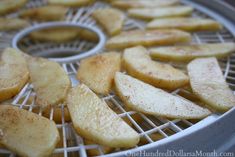 there are many pieces of apple on the rack and one is cut up to be eaten