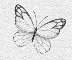 a black and white drawing of a butterfly