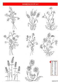 four different types of flowers are shown in this diagram