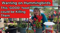 a woman sitting at a table with potted plants in front of her and the words warning on hummingbirds this good food could be killing them