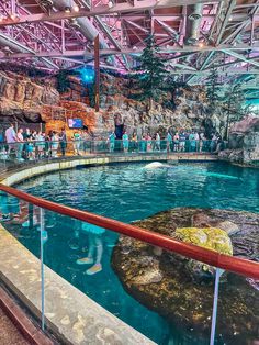 people are looking at the water inside an aquarium