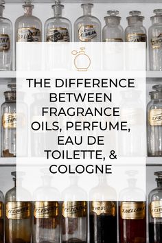 Types Of Perfumes Fragrance, Content Ideas For Perfume Business, Perfume Marketing Ideas, Perfume Content Ideas For Instagram, Perfume Content Ideas, Perfume Education, Types Of Perfume, Fragrance Boutique