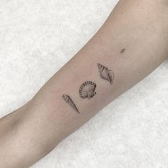 a person's arm with three seashells on it