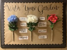 a bulletin board with flowers on it that says water your garden