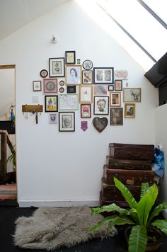 a white wall with many pictures on it and a plant in the corner next to an open door