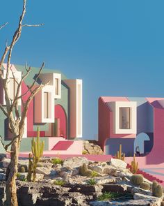 colorfully painted buildings with cactus trees in the foreground