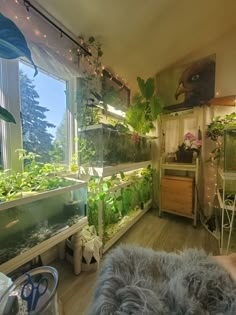 a living room filled with lots of plants