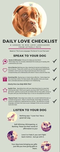 the daily love checklist for dogs is shown in this graphic above it's description