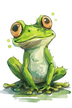 a green frog with big eyes sitting on the ground in front of a white background