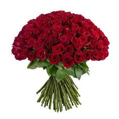 a bouquet of red roses on a white background