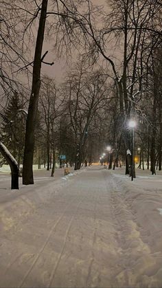 a snow covered path in the middle of a park with trees and street lights on either side