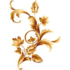 an image of a gold floral design on a white background