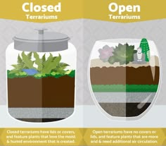 the different types of terrariums are shown in this diagram, and there is also information about them