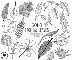 the boho tropical leaves clipart collection is shown in black and white, with different types