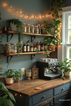 a kitchen with shelves filled with plants and jars on top of the counter next to a window