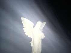 an angel statue with its wings spread out in the dark sky, surrounded by beams of light