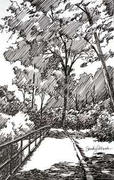 a black and white drawing of trees on a path