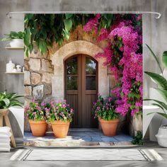 an image of a door with flowers on the wall and potted plants in front