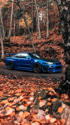 a blue car parked in the middle of a forest filled with trees and fallen leaves