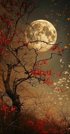 the full moon shines brightly in the night sky behind a tree with red leaves