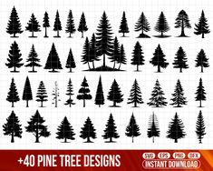 the silhouettes of pine trees are shown in black and white, with red background