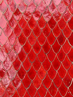 a red fish scale pattern is seen in this image