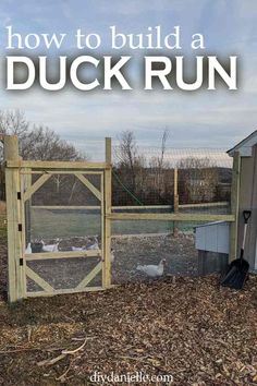 a chicken run with the words how to build a duck run