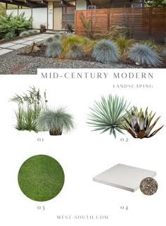 the mid century modern landscape design