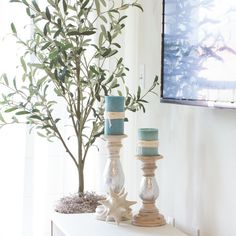 three candles are sitting on a table next to a potted plant and starfish