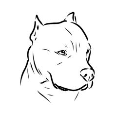 a black and white drawing of a dog's head with the word pitbull on