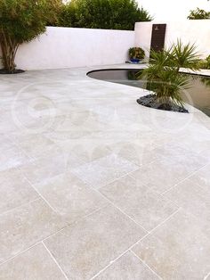 an empty patio with water and plants in it