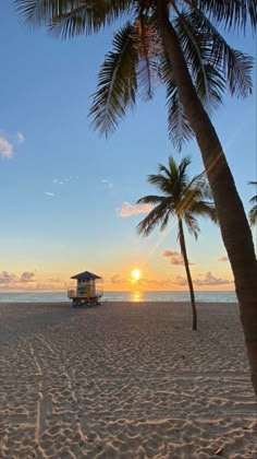 the sun is setting behind two palm trees on the beach with a lifeguard tower in the distance