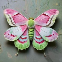 a pink and green butterfly sitting on top of a wooden floor next to a wall