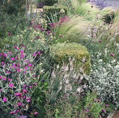 a garden filled with lots of different types of flowers and plants next to each other