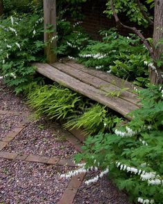 a wooden bench sitting in the middle of a garden next to trees and plants with white flowers