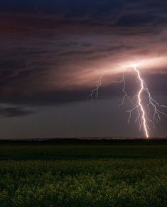 a lightning bolt is seen in the sky over a field