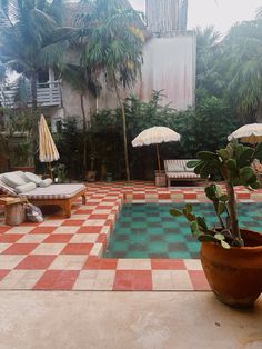 an outdoor pool with lounge chairs, umbrellas and plants in the foreground on a tiled patio