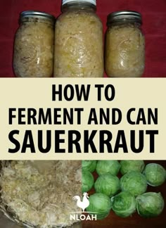 how to ferment and can sauerkraut in jars with text overlay