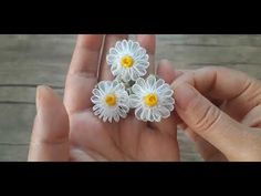 small white and yellow flowers in someone's hand